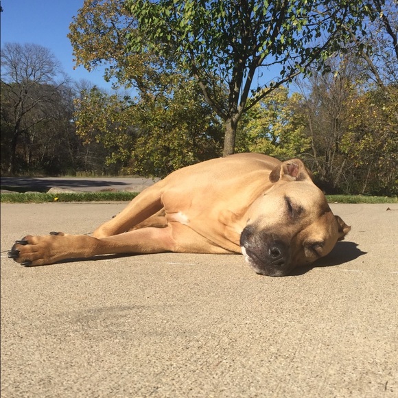 Meet The Posher - Picture 8 of 8